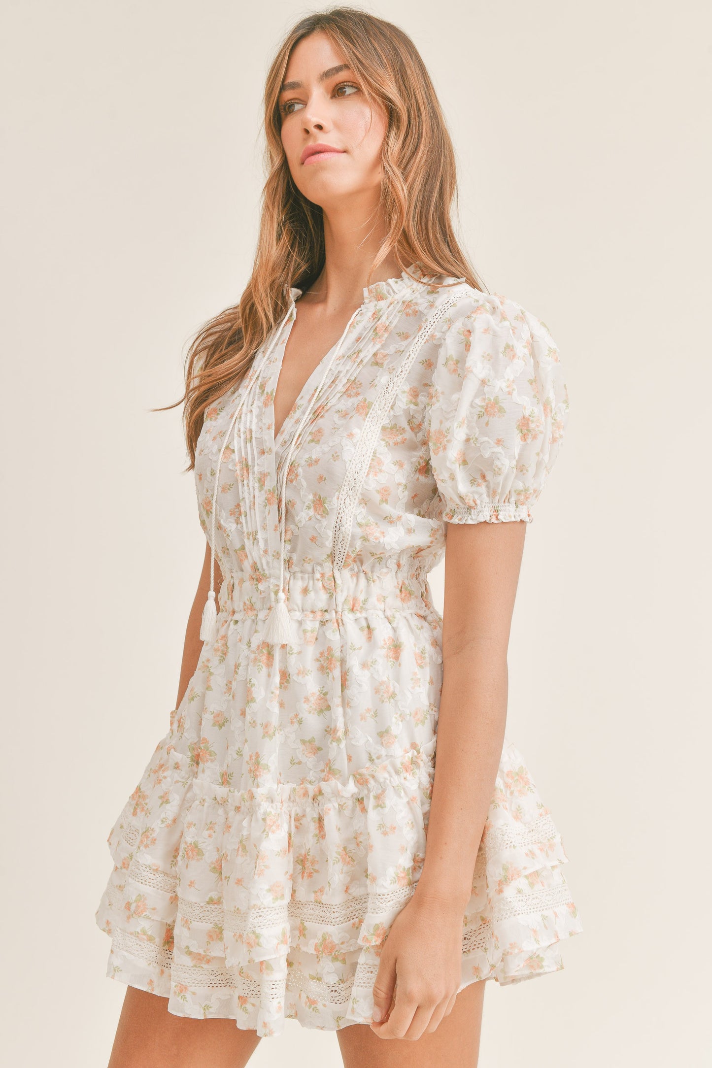 Anabella Embroidered Tier Dress