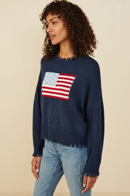 America Navy Sweater