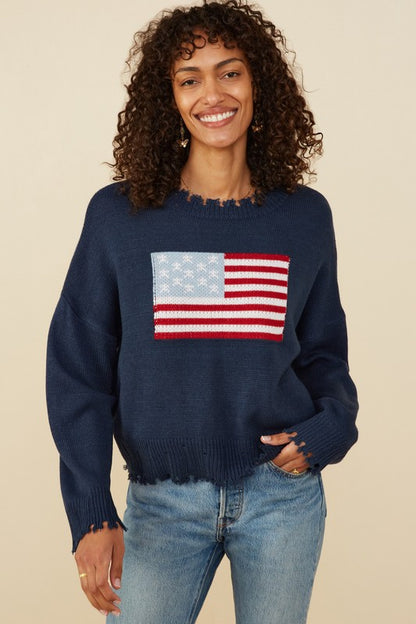 America Navy Sweater